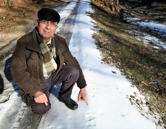 Moş Martin n-are chef de hibernare. Urme proaspete de urs în apropere de Mânăstirea Nămăeşti din Argeş