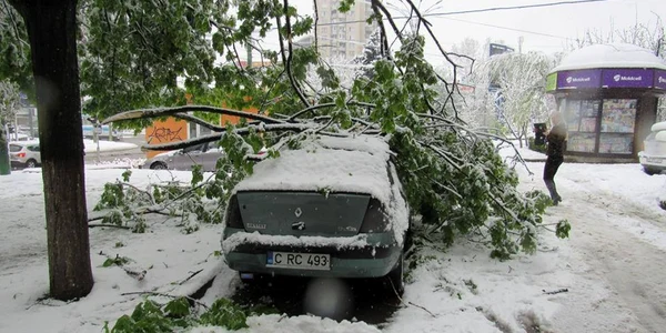 Ninsori Moldova Foto Facebook