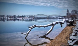 Dunărea  Foto Marian  Pixabay com jpg