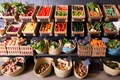 Legume fructe FOTO Shutterstock 
