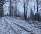 Drumul de pe Valea Cernei din Hunedoara  Foto Daniel Guță  ADEVĂRUL (92) jpg