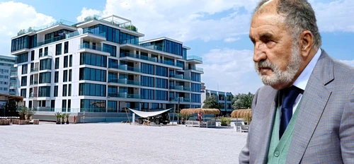 cub ion tiriac png