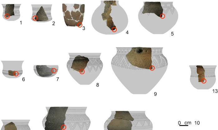 arcm70024 fig 0002 m jpg