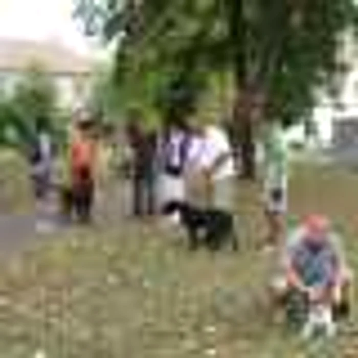 Alba Iulia: Proiect de educaţie canină