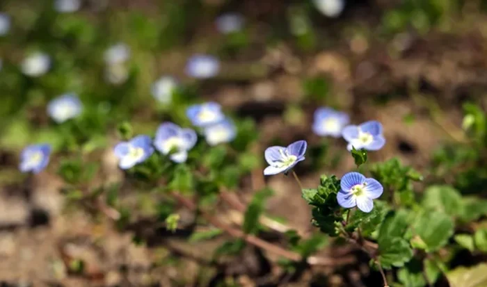 Ventrilica este alegerea perfectă pe timp de iarnă / foto: Getty Images