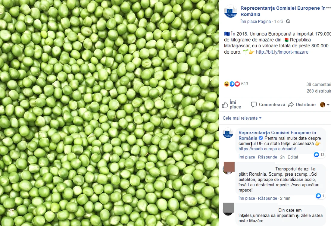 
    Radu Mazăre se află în custodia Poliției Române și va fi adus în țară luni searăfoto: arhiva Click!  
