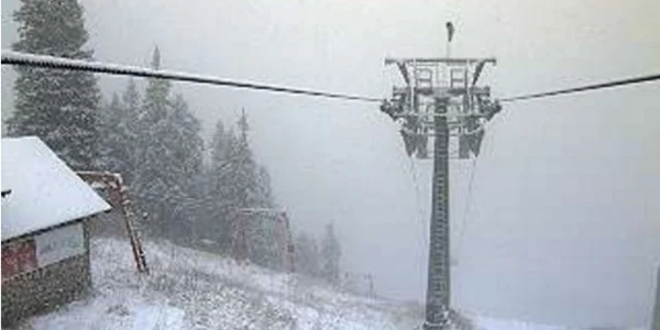 ninge brasov