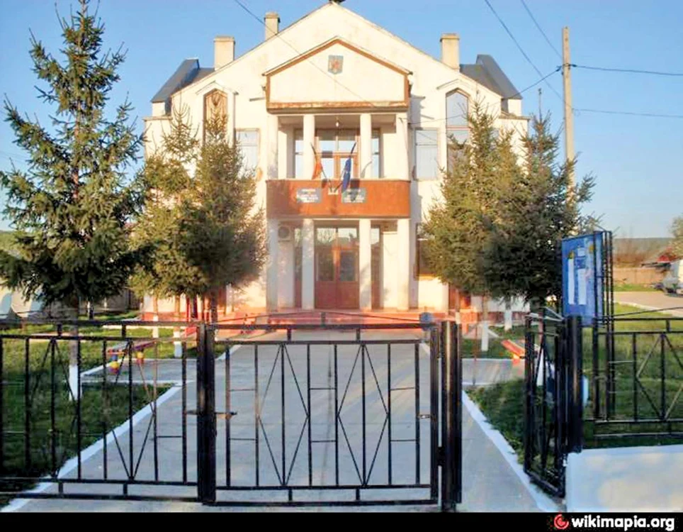 
    Primăria din PoieneştiFoto: vrn.ro  