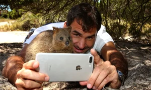 roger federer selfie animale jpeg