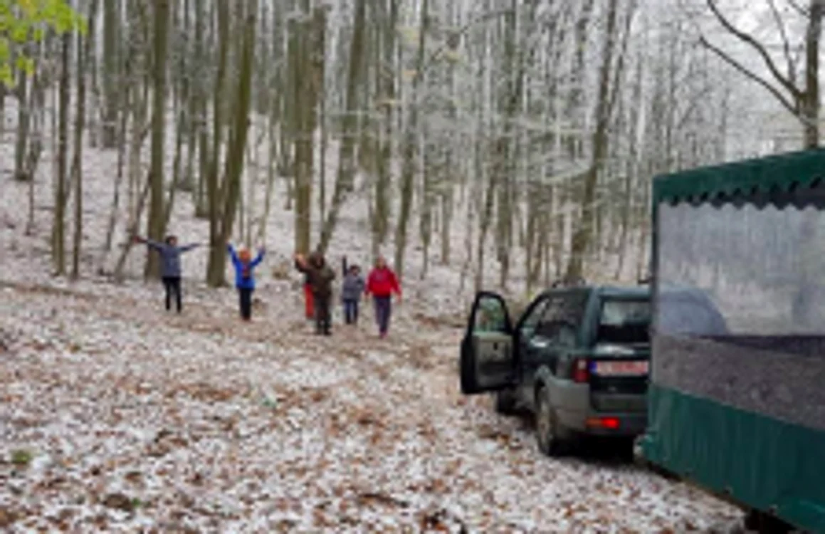 Plimbarea în natură face minuni pentru reducerea stresului FOTO Cabana Valea Mierii