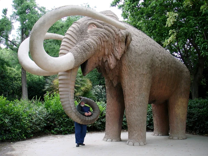 Mamut lânos, statuie Barcelona.