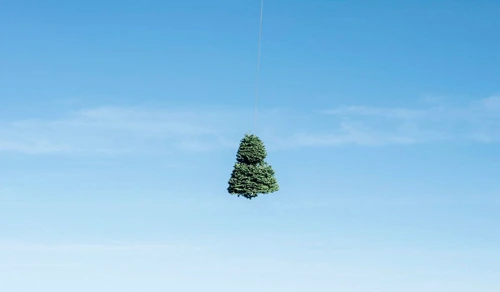 1 78780 original jpg jpeg