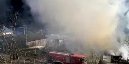 5e99810e5163ec4271d1ea63 jpg