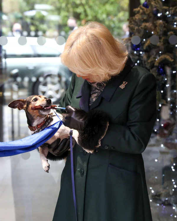 Camilla și cățelul Beth, Profimedia jpg