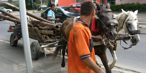 Reşiţa: O femeie de 65 de ani din localitatea Obreja a fost lovită de o căruţă
