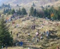 Pentru defrişările şi jaful din pădurile de pe Valea Muntelui nu există vinovaţi FOTO Mircea Merticariu