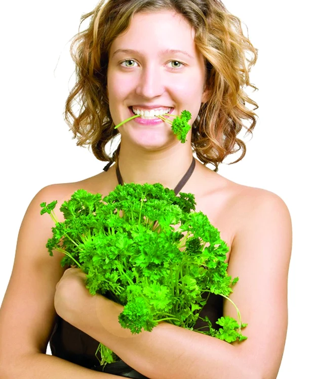 
    Câteva frunze te scapă de halenă şi dă un miros plăcut respiraţiei  