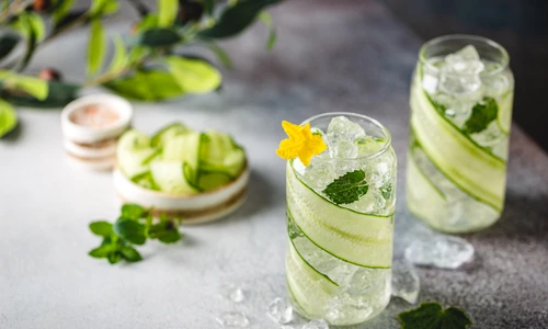 shutterstock 1925253077 jpg