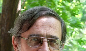 Gîlceava lemnului cu piatra jpeg