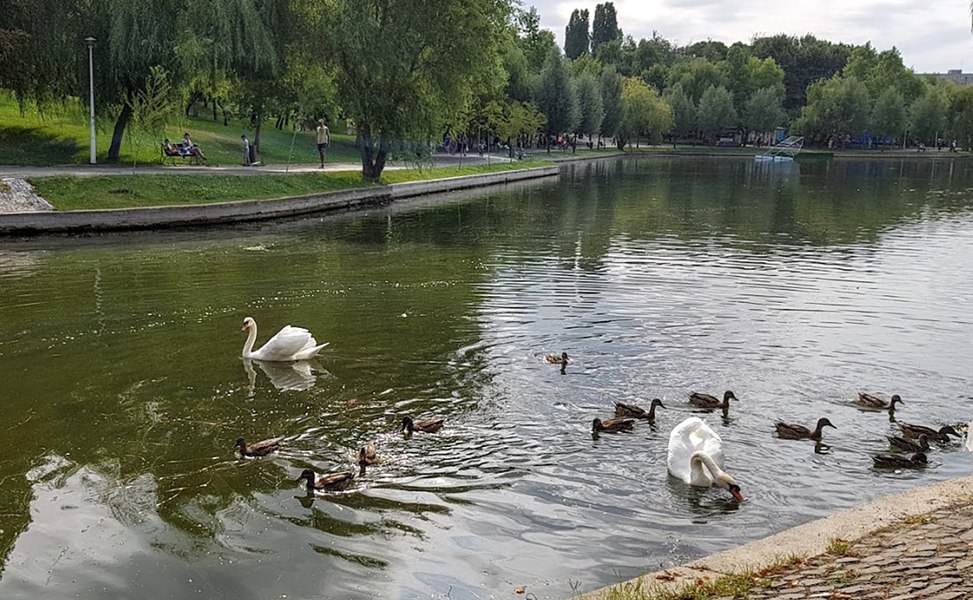 un-activist-de-mediu-cere-modificarea-oug-pentru-salvarea-spa-iilor-verzi-promovat-de-diana-buzoianu-abordarea-este-gre-it