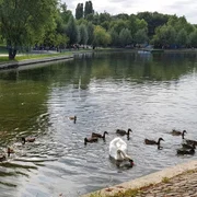 p 8 sus Parcul IOR WC jpg