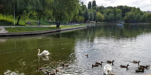 p 8 sus Parcul IOR WC jpg