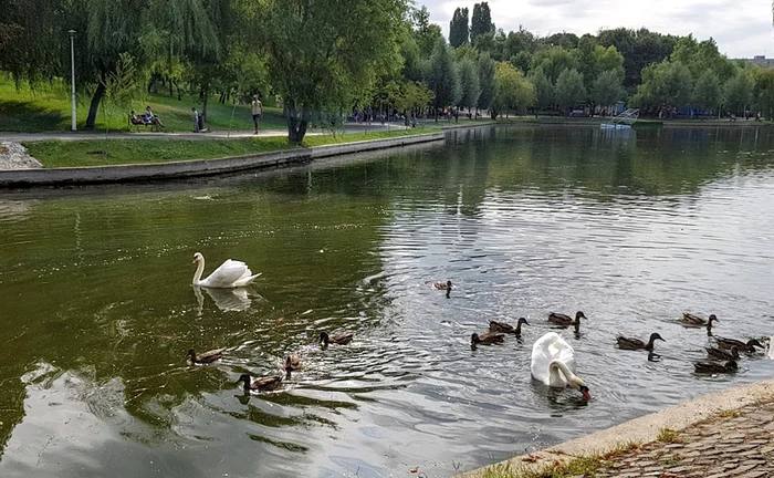 Parcul IOR. Foto: Adevărul