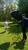 13055575 949087618545969 4696582387828123075 n jpeg