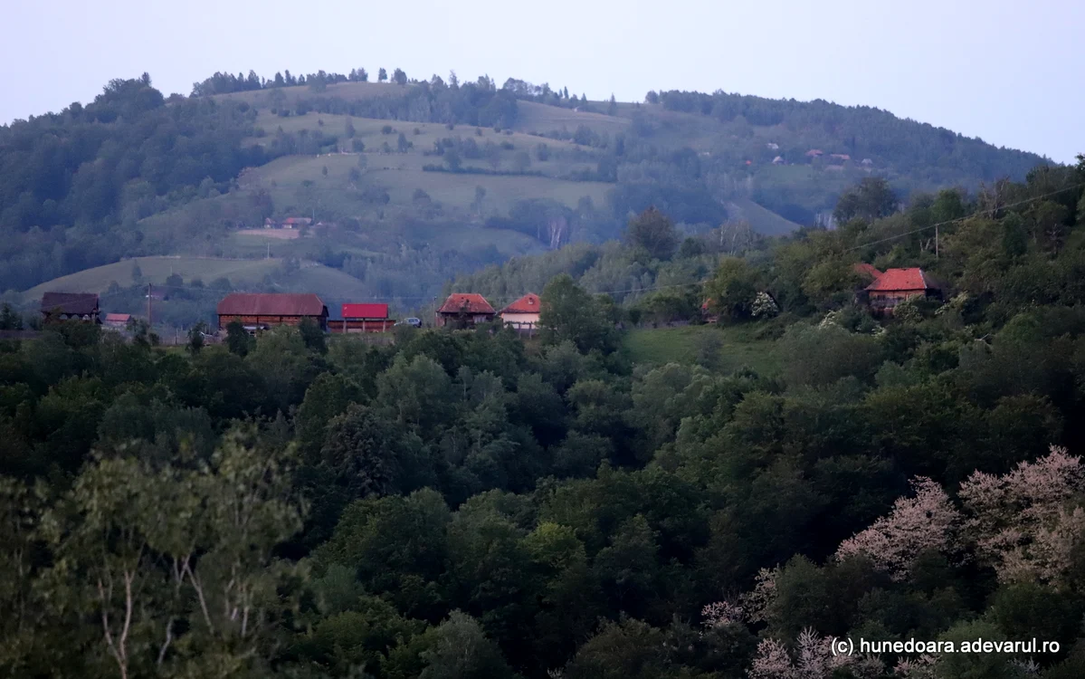 Gospodării din Alunu. Foto: Daniel Guță. ADEVĂRUL