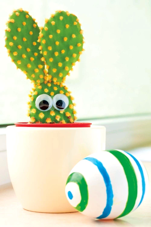 Aranjament festiv din cactus jpeg