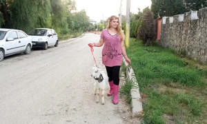 c16 7 vedete 20160622 20313 jpeg