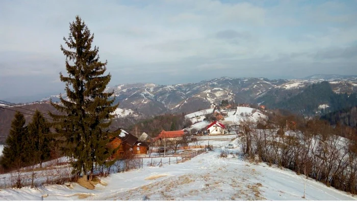 Poiana Mărului este o localitate turistică. FOTO Romaniaturistica.ro