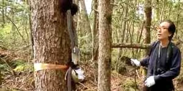 Azusa Hayano a descoperit peste 100 de cadavre în ultimii 20 de ani 