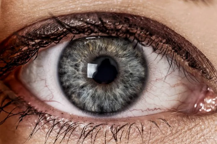 1 iridologie jpg jpeg