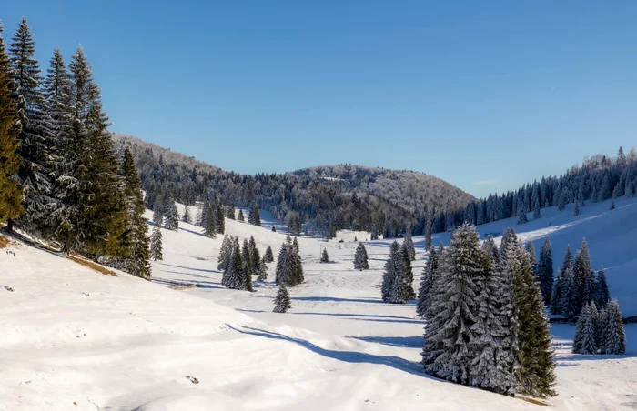 Zona Padiș. Foto: Christine Banciu. Facebook