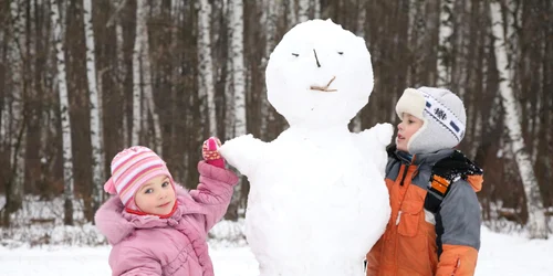 La ridicarea gigantului vor participa 20 de voluntari Foto: Arhivă