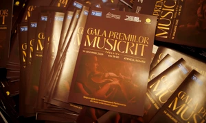 Gala Premiilor MUSICRIT   14 IAN   foto Andrei Gindac   Two BugsCL1A6175 jpg