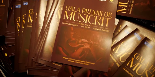 Gala Premiilor MUSICRIT   14 IAN   foto Andrei Gindac   Two BugsCL1A6175 jpg