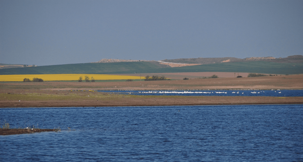 Substanțe toxice interzise, împrăștiate pe mii de hectare de teren din Delta Dunării. Fost guvernator, trimis în judecată
