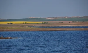 Delta dunarii foto ARBDD jpg