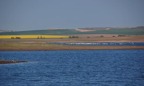 Delta dunarii foto ARBDD jpg