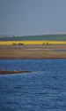 Delta dunarii foto ARBDD jpg