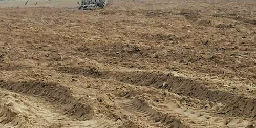 câmp oase brâncoveni