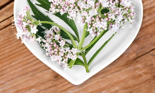 1 shutterstock 657411946 jpg jpeg