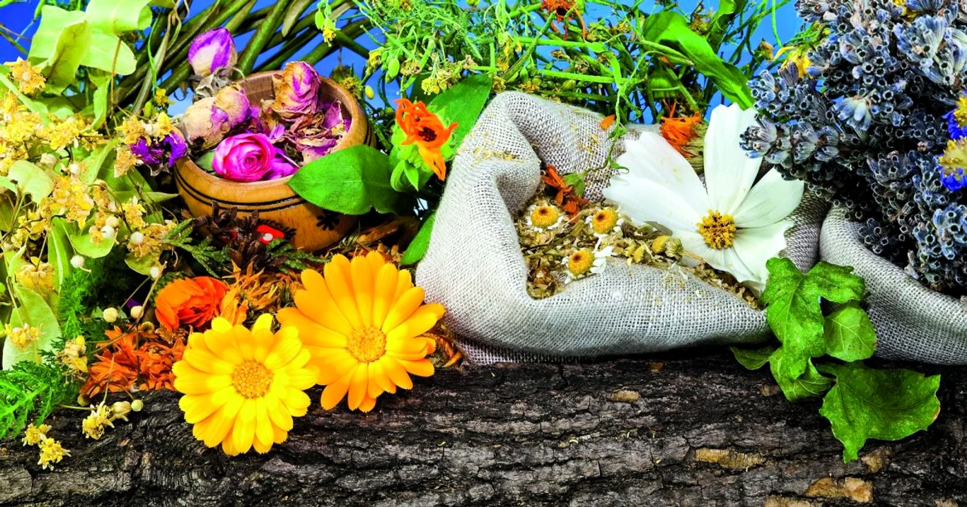 Vara este bine să începi să-ţi pregăreşti cămara cu leacuri naturale. Foto arhivă