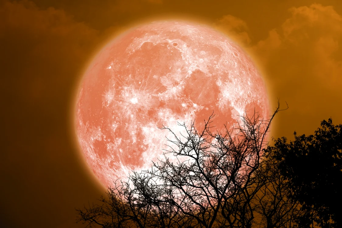 Noi experimente pe Lună/FOTO:  Shutterstock