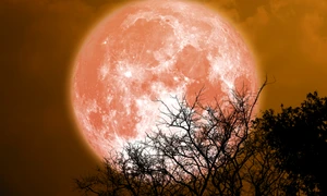 Luna Plina, foto Shutterstock jpg