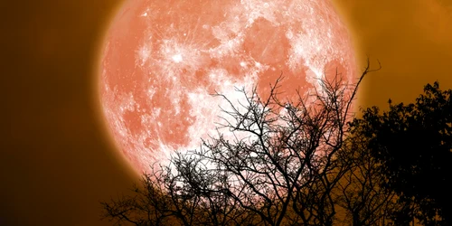 Luna Plina, foto Shutterstock jpg