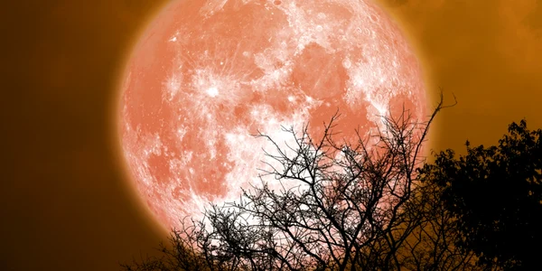 Luna Plina, foto Shutterstock jpg