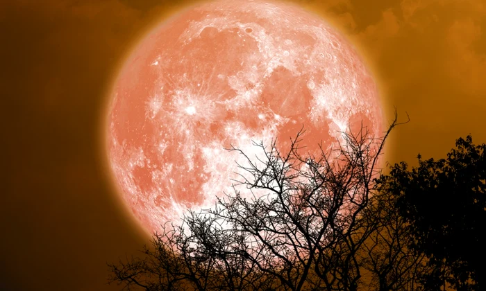 Luna Plina, foto Shutterstock jpg
